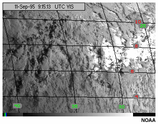 This animation shows sunglint moving across a water surface viewed with the GOES-8 visible channel.