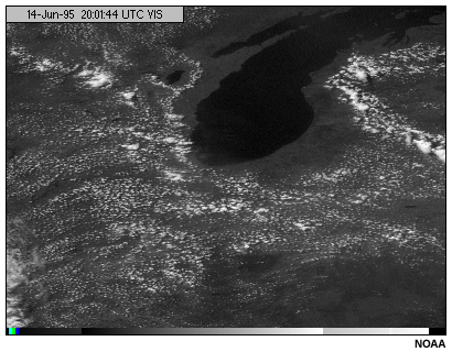 This image shows cumulus clouds viewed with the GOES-8 visible channel
