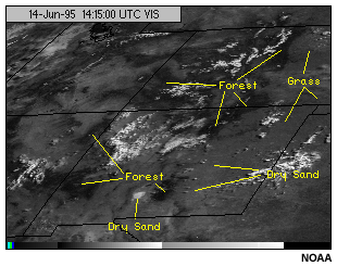 This image shows the GOES-8 visible channel for forest, grass, and dry sand.