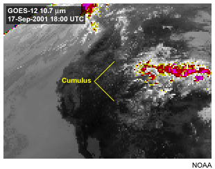 This image shows cumulus clouds viewed with the GOES-12 10.7 micron longwave infrared window channel.