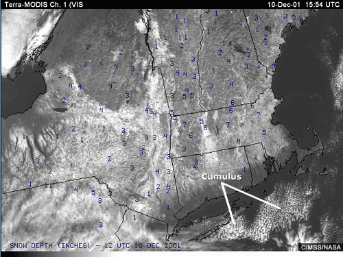 Vis image of New England with annotation indicating cumulus clouds over the ocean