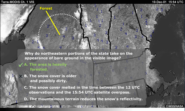 Vis image of New England with annotation indicating forest with question superimposed with answer A selected. Question: Why do northeastern portions of the state take on the appearence of bare ground in the visible image? A: the area is heavily forested. B: The snow cover is older and possibly dirty. C: The snow cover melted in the time between the 12 UTC observations and the 15:54 UTC satellite overpass. D: The mountainous terrain reduces the snow's reflectivity. 